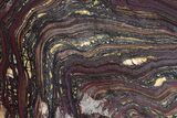 Polished Tiger Iron Stromatolite Slab - Billion Years #247783-1